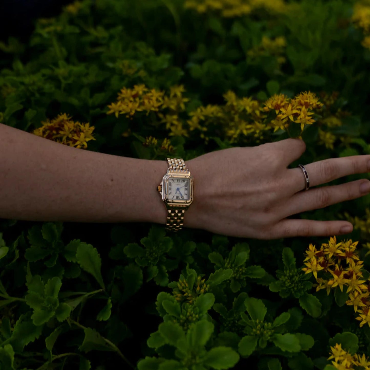 Chrono Fours® Calista